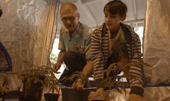 WEED THE PEOPLE 590x350