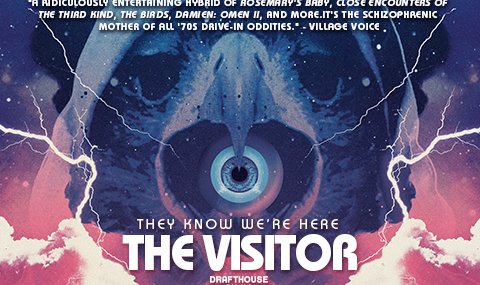 visitor_website2
